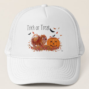 Halloween Pomeranian Truckerkappe
