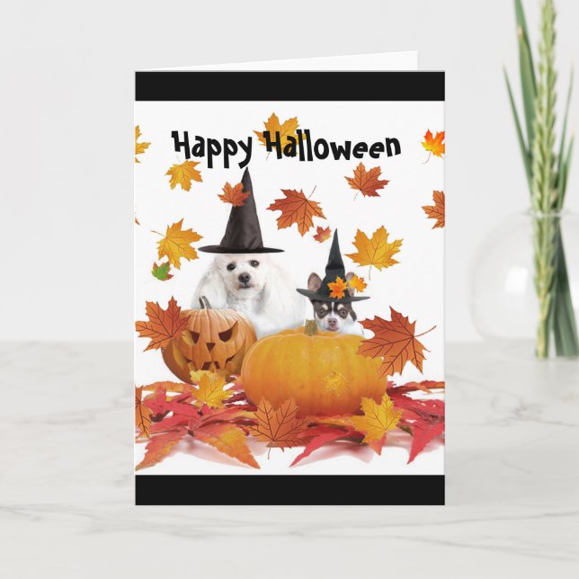 Halloween Poodle und Chihuahua-Hundekarte Karte (Vorderseite)