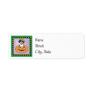 Halloween Portugiesischer Wasserhund