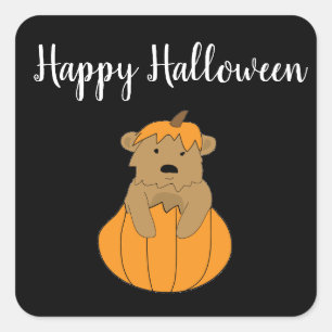 Halloween Pumpkin Bär Stickers
