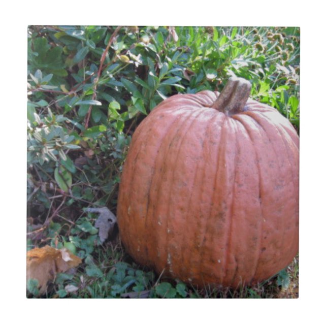 Halloween Pumpkin Fliese (Vorderseite)