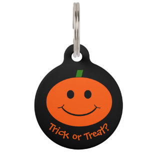 Halloween Pumpkin Haustiermarke