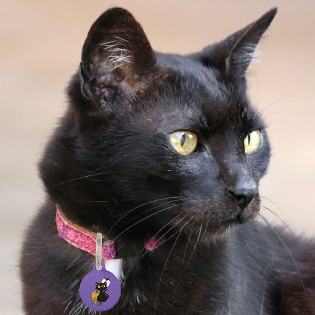 Halloween Pumpkin Lila Black Cat Haustiermarke (Von Creator hochgeladen)