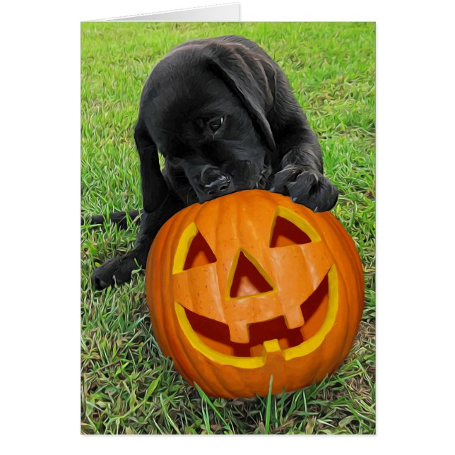 Halloween Pumpkin Puppy - Schwarzes Labor (Vorne)