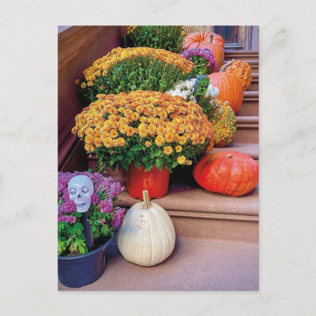 Halloween Pumpkin Treairs New York Postcard NYC Postkarte (Vorderseite)