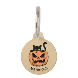 Halloween Pumpkin und Black Cat Personalisiert Haustiermarke