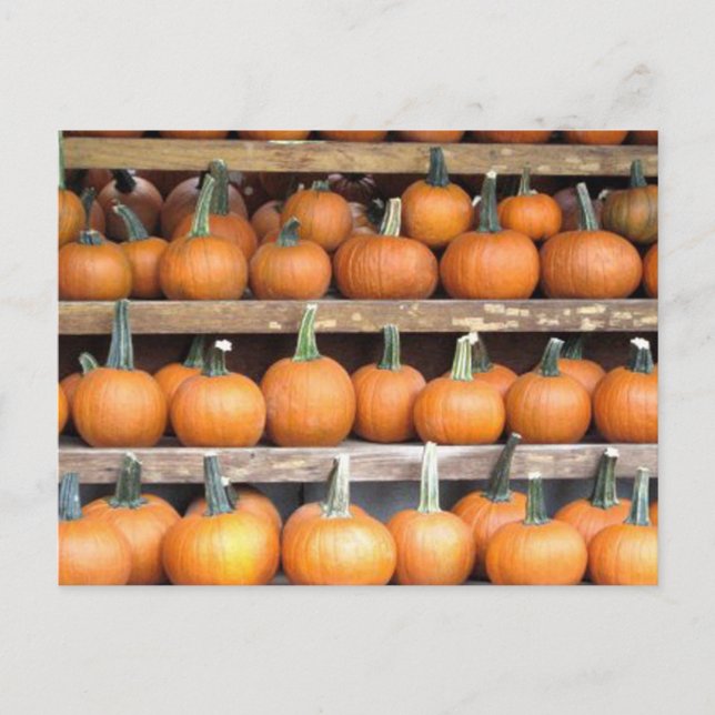Halloween Pumpkin Wall Postkarte (Vorderseite)