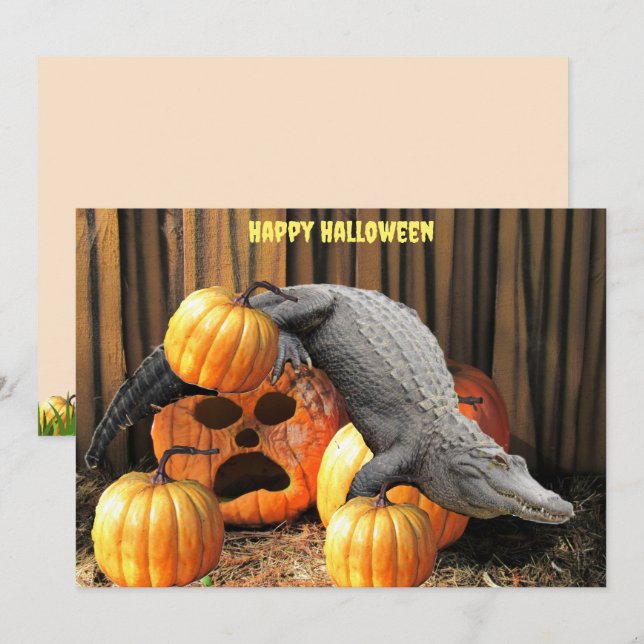 Halloween Pumpkins und Gator (Vorne/Hinten)