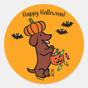 Halloween Red Smooth Hair Dackel Runder Aufkleber
