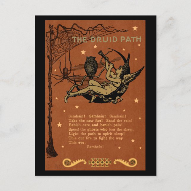 Halloween Samhain Fairy Owl Spider Web Postkarte (Vorderseite)