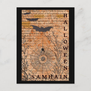 Halloween Samhain Spinnennetze Postkarte