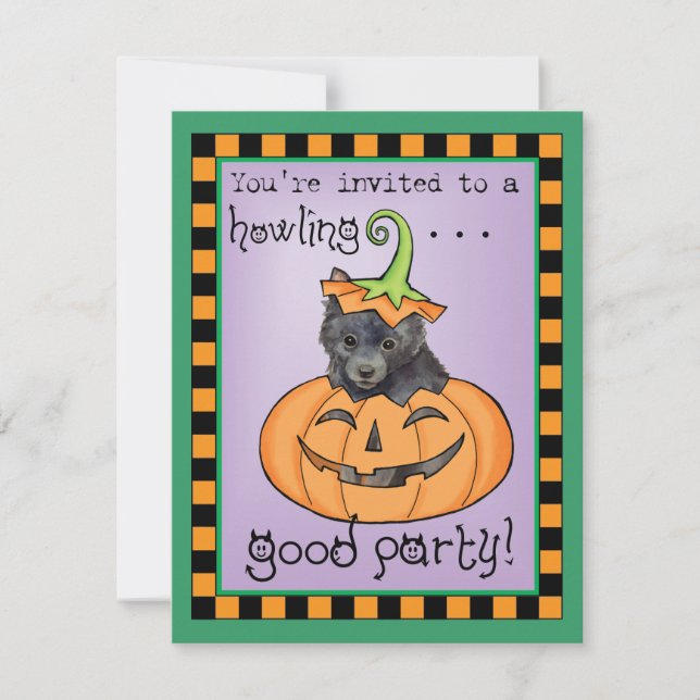 Halloween Schipperke Card Karte (Vorderseite)
