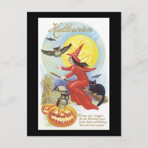 Halloween-Schwarze Katze, Hexe und Eule Postkarte