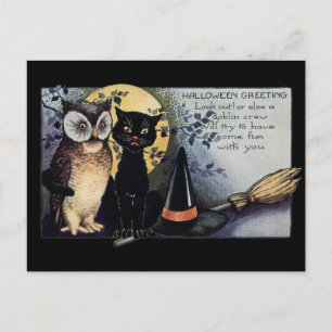 Halloween-Schwarze Katze und Eule Postkarte