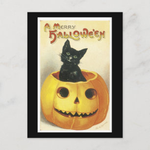 Halloween-Schwarze Katze und Kürbis Postkarte