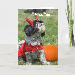 Halloween Shih Tzu dog Karte