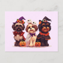 Halloween Shih Tzu Dogs