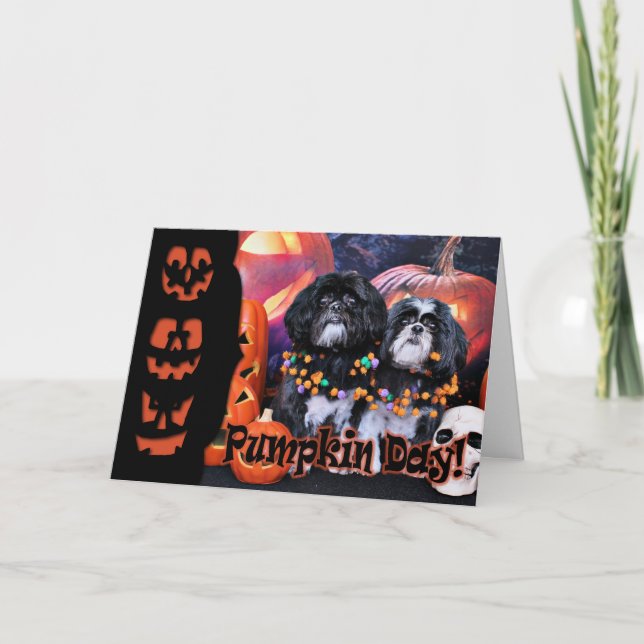 Halloween - Shih Tzu - Ruffles Riley Karte (Vorderseite)
