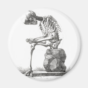 Halloween Skelett Sitting Anatomie Magnet