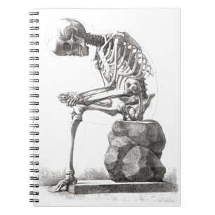 Halloween Skelett Sitting Anatomie Notizblock