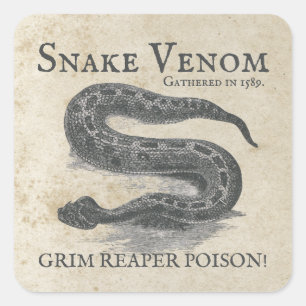 Halloween Snake Venom Antike Apotheke Quadratischer Aufkleber