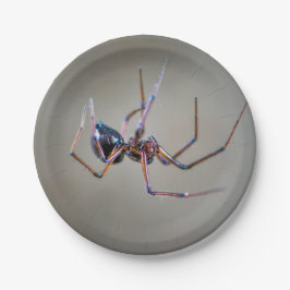 Halloween Spider Paper Plate Pappteller