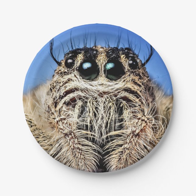 Halloween Spider Paper Plate Pappteller (Vorderseite)