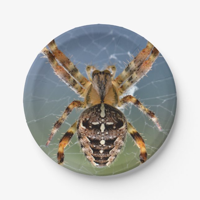 Halloween Spider Paper Plate Pappteller (Vorderseite)