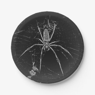 Halloween-Spinne-Papierteller Pappteller