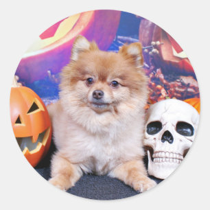 Halloween - Spitz - Simba Runder Aufkleber