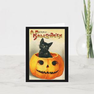 Halloween Süße Schwarze Katze In Jack Olantern Vin Karte