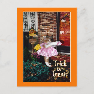 Halloween Süßigkeiten erbettelnde Kitty Postkarte