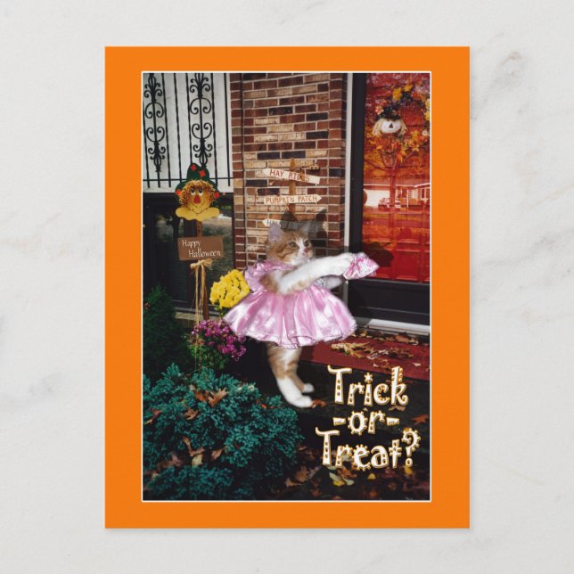 Halloween Süßigkeiten erbettelnde Kitty Postkarte (Vorderseite)