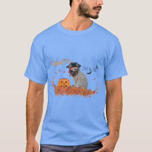 Halloween-Süßigkeiten oder Saustall Katze T-Shirt