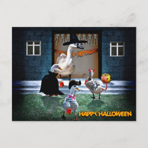 Halloween Trick oder Leckereien Zeit! Postkarte