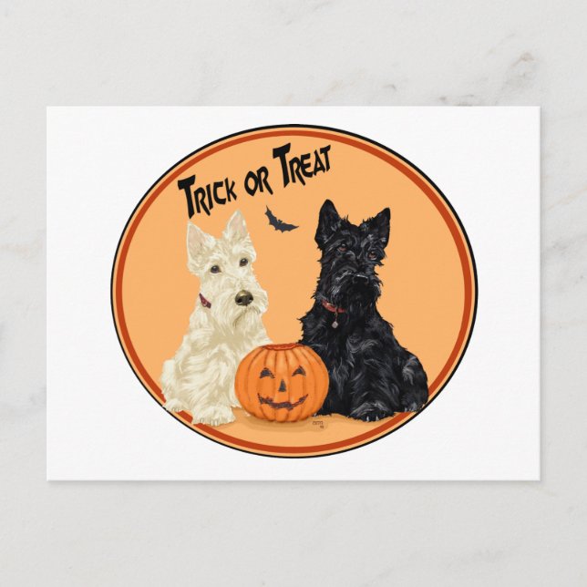 Halloween und Black Scottish Terriers Postkarte (Vorderseite)
