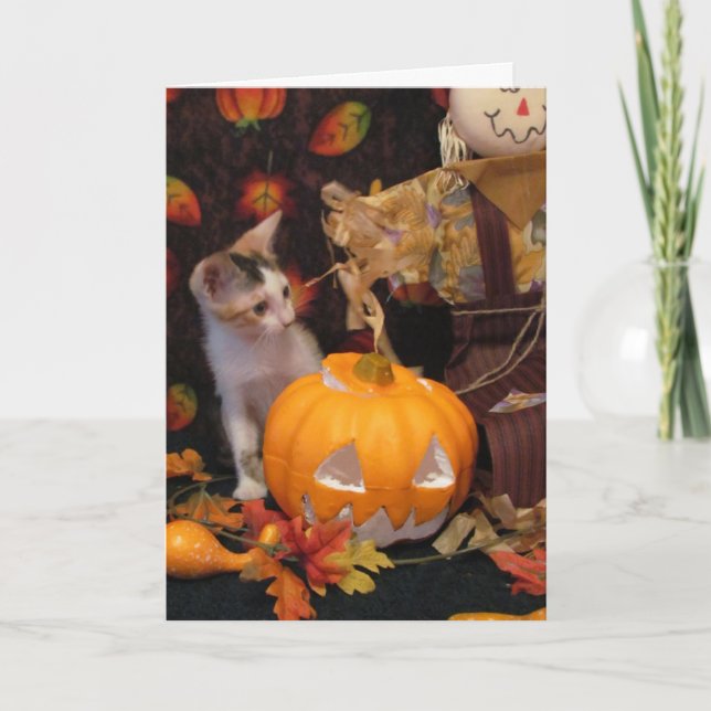 Halloween vom Herbst - Katze / KätzchenHalloween-K Karte (Vorderseite)