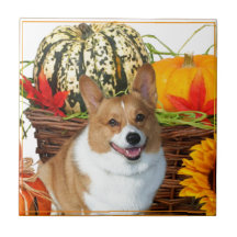 Halloween Waliser Corgihund