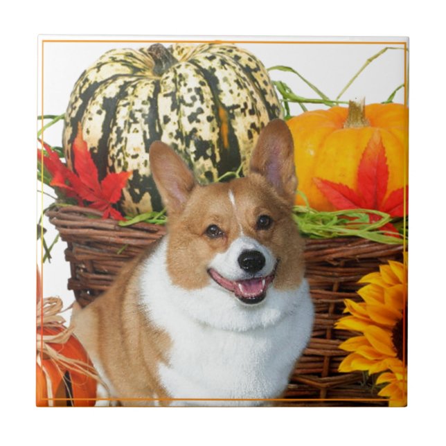Halloween Waliser Corgihund Fliese (Vorderseite)