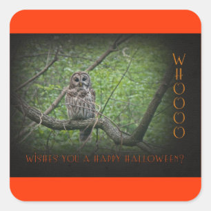 Halloween Wishies - Barred Owl Quadratischer Aufkleber