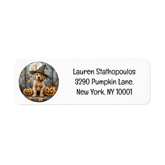 Halloween Witch Golden Retriever Puppy Pumpkins (Vorne)