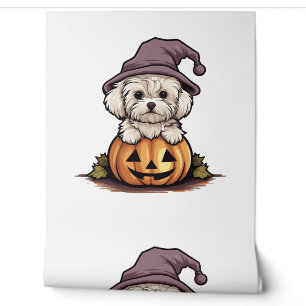 Halloween Witch Hat Pumpkin Dog Maltese Tapete