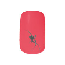 Halloween-Witwenspinne auf rotem Grund