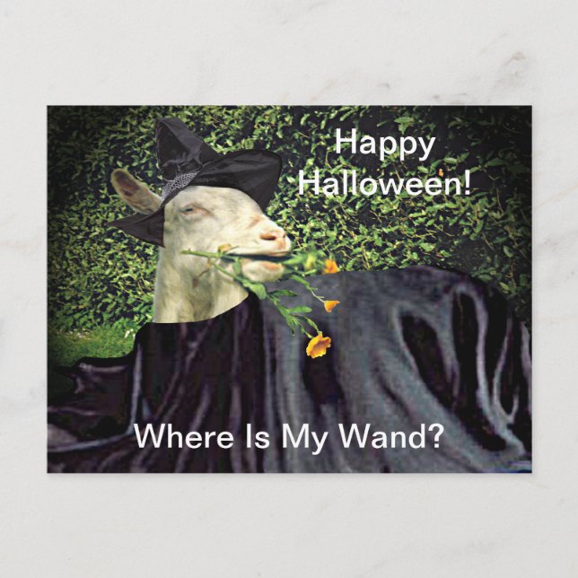 Halloween Wizard Goat Postkarte (Vorderseite)