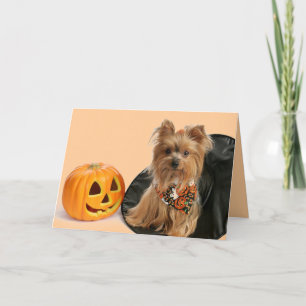 Halloween Yorkie Karte