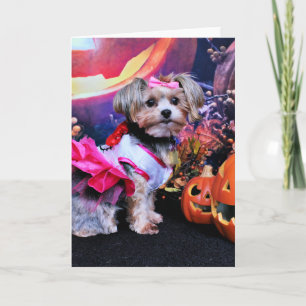 Halloween - Yorkie - Zoey Karte
