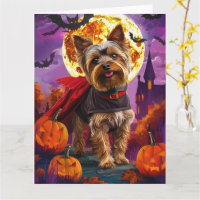 Halloween Yorkshire Terrier Vampir Kürbisse Grusel