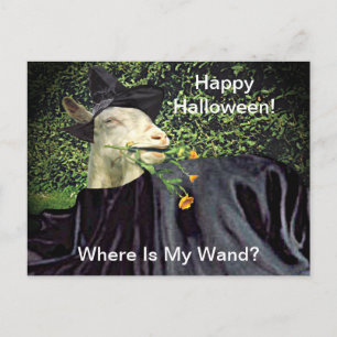 Halloween-Zauberziege Postkarte