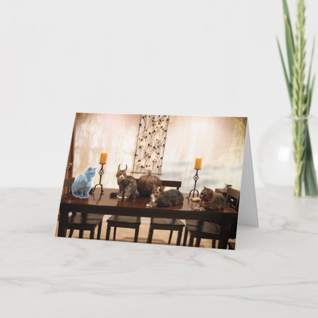 HalloweenCats Karte (Vorderseite)