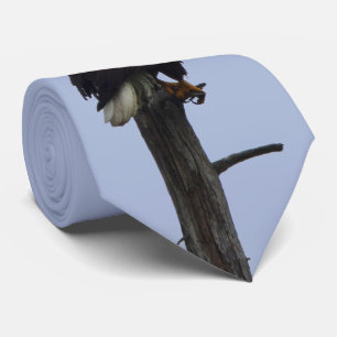 Hals-Krawatte mit Adler Krawatte